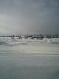 2012010308450000雪国.jpg